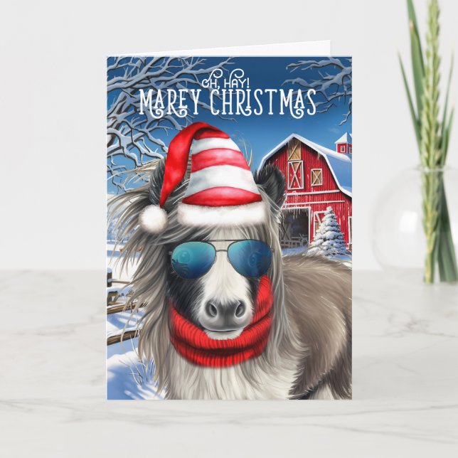 Cartes Pour Fêtes Annuelles Miniature Cheval drôle MAREy Noël (Devant)