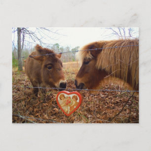 Cartes Pour Fêtes Annuelles Miniature Donkey & Horse Valentine Heart