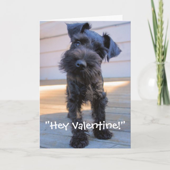 Cartes Pour Fêtes Annuelles Miniature Schnauzer Valentine's Day Card (Devant)