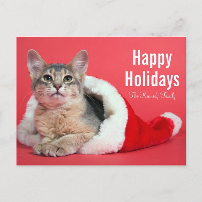 Cartes Pour Fêtes Annuelles Minou de Noël (Devant)