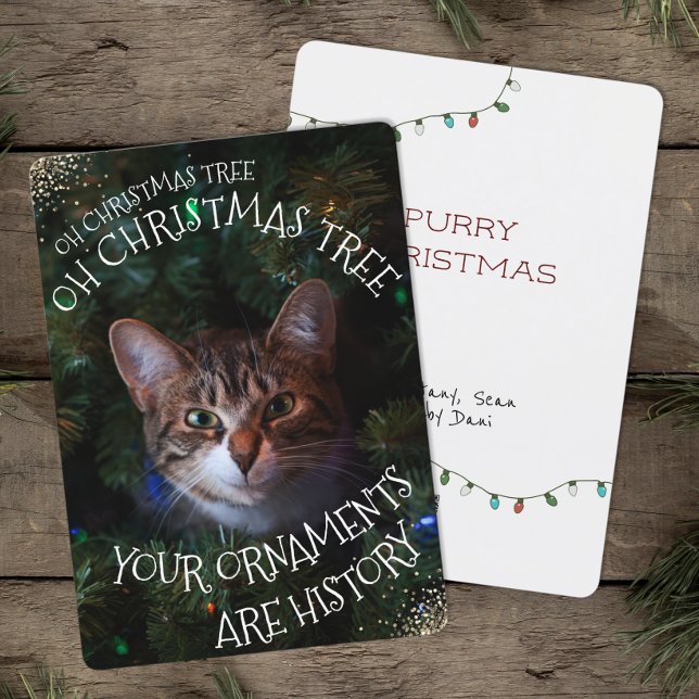 Cartes Pour Fêtes Annuelles Mischievous Kitty Funny Chat Oh Arbre de Noël (Créateur téléchargé)