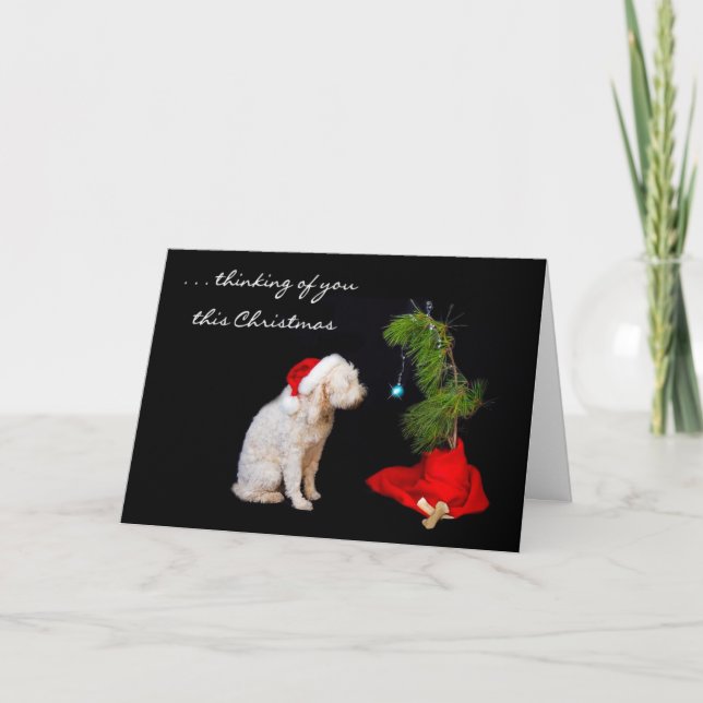 Cartes Pour Fêtes Annuelles Mlle You à Noël - chien regardant l'arbre (Devant)
