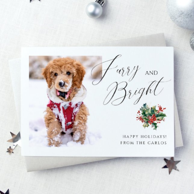 Cartes Pour Fêtes Annuelles Mobilier moderne et lumineux | Pet Photo Christmas (Créateur téléchargé)