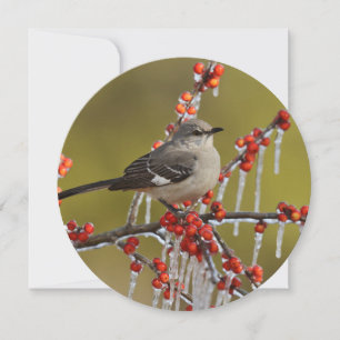 Cartes Pour Fêtes Annuelles Mockingbird perché sur Icy Holly Branch
