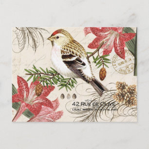 Cartes Pour Fêtes Annuelles Modern vintage French Christmas bird postcard