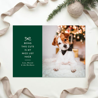 Cartes Pour Fêtes Annuelles Moderne Photo de Noël de Chien avec un Ruban Minim