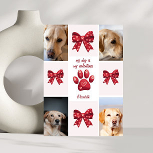 Cartes Pour Fêtes Annuelles Mon chien est mon valentin 4 photos