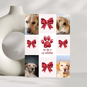 Cartes Pour Fêtes Annuelles Mon chien est mon valentin 4 photos