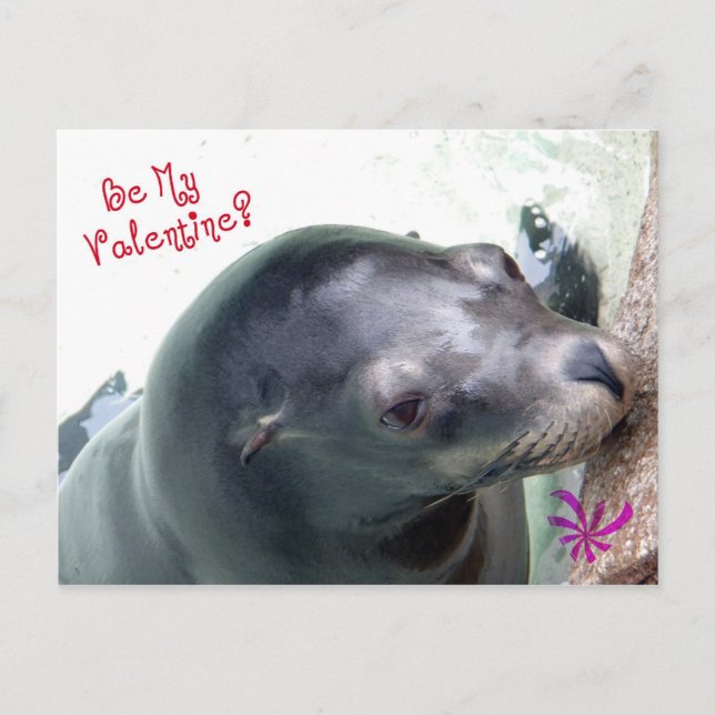 Cartes Pour Fêtes Annuelles Mon phoque Valentine (Devant)