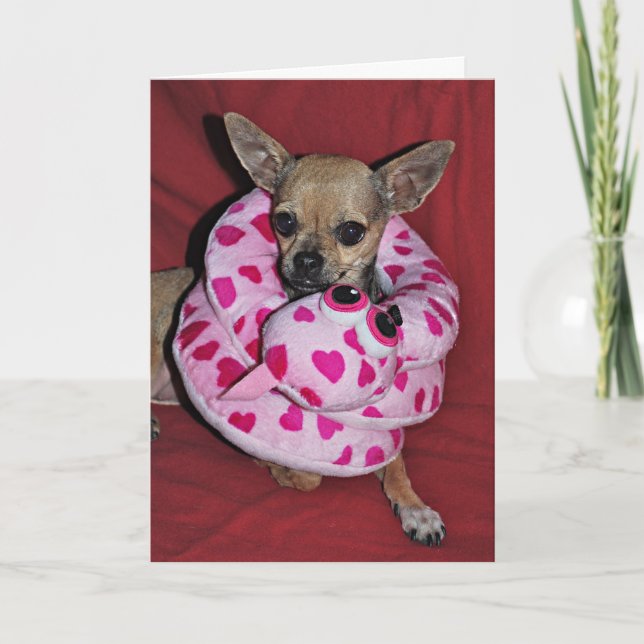 Cartes Pour Fêtes Annuelles Mon Valentine drôle (Devant)