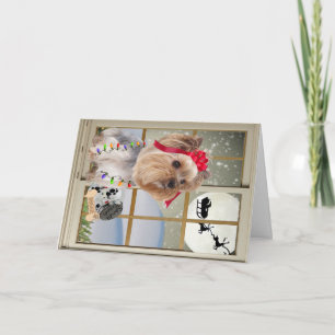 Cartes Pour Fêtes Annuelles Montres de Yorkie pour Père Noël