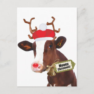 Cartes Pour Fêtes Annuelles Mooey Joyeux Noël Reindeer Cow