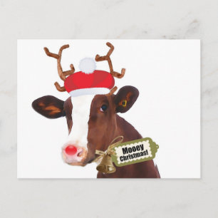 Cartes Pour Fêtes Annuelles Mooey Joyeux Noël Reindeer Cow