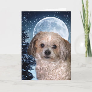Cartes Pour Fêtes Annuelles Moon Smitty
