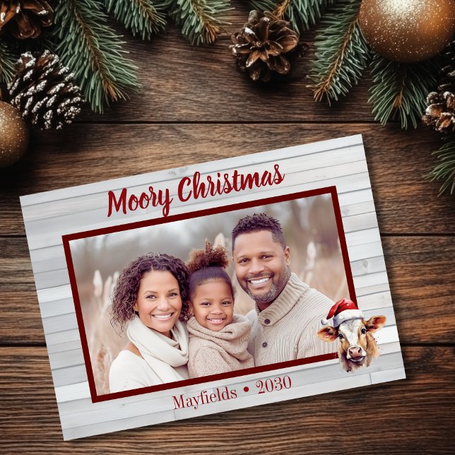 Cartes Pour Fêtes Annuelles Moory Christmas Photo de vache (Moory Christmas flat photo card with jersey cow and barn wood)