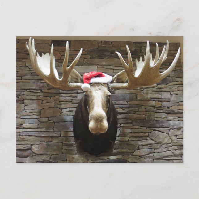 Cartes Pour Fêtes Annuelles Moose de Noël (Devant)