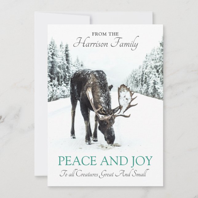 Cartes Pour Fêtes Annuelles Moose En Hiver Neige Noël Paix Joie (Devant)