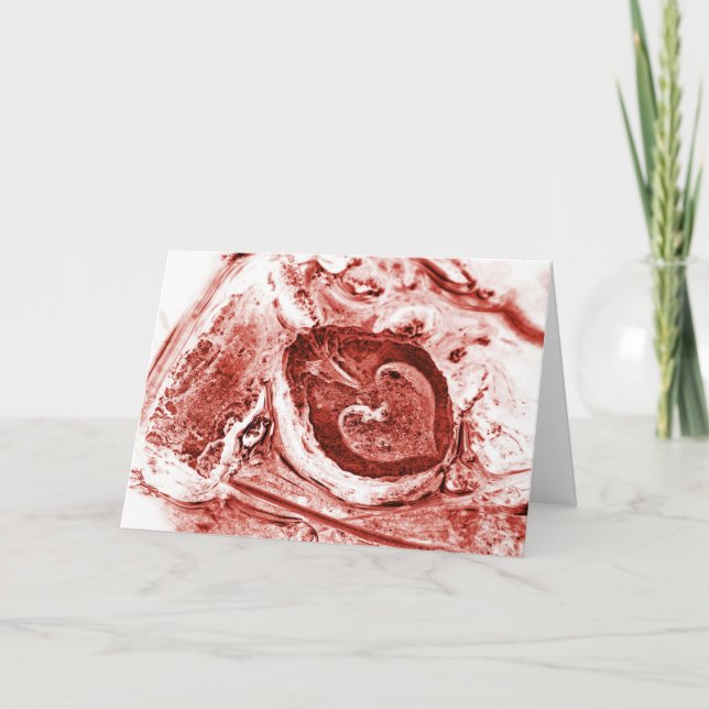 Cartes Pour Fêtes Annuelles mort (Devant)