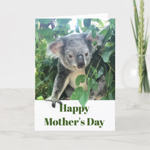 Cartes Pour Fêtes Annuelles Mothers Day Koala Eucalyptus tree Photo