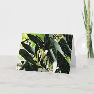 Cartes Pour Fêtes Annuelles motif feuille