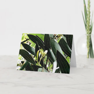 Cartes Pour Fêtes Annuelles motif feuille