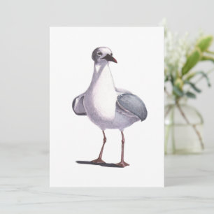 Cartes Pour Fêtes Annuelles Mouette
