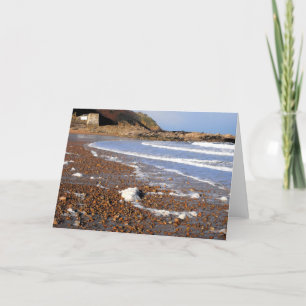 Cartes Pour Fêtes Annuelles Mousse de mer sur la plage Jersey