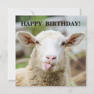 Cartes Pour Fêtes Annuelles Mouton montre la langue