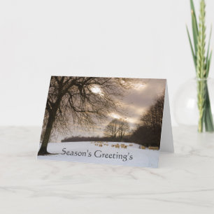 Cartes Pour Fêtes Annuelles Moutons