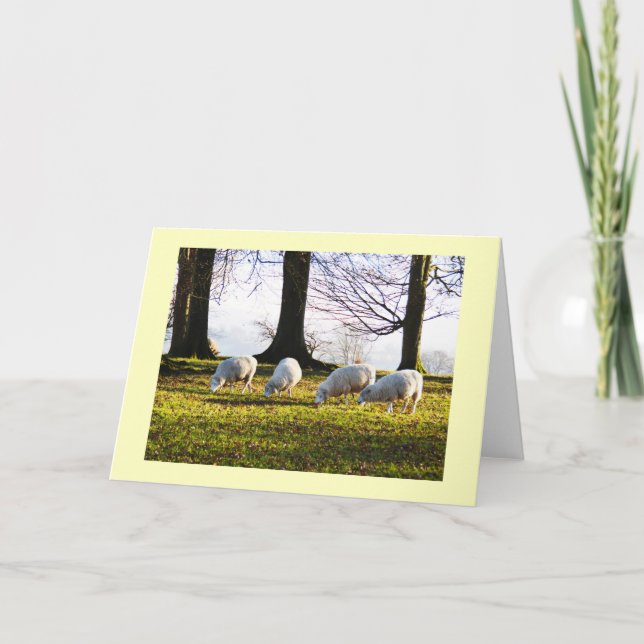 Cartes Pour Fêtes Annuelles Moutons au soleil d'hiver (Devant)