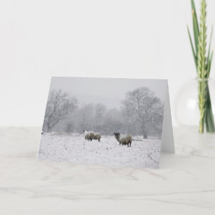 Cartes Pour Fêtes Annuelles Moutons dans un champ enneigé