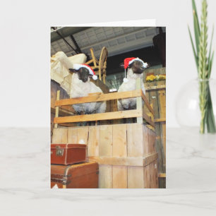 Cartes Pour Fêtes Annuelles moutons de Noël