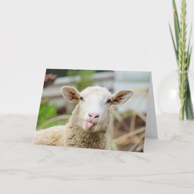 Cartes Pour Fêtes Annuelles Moutons montrent la langue (Devant)