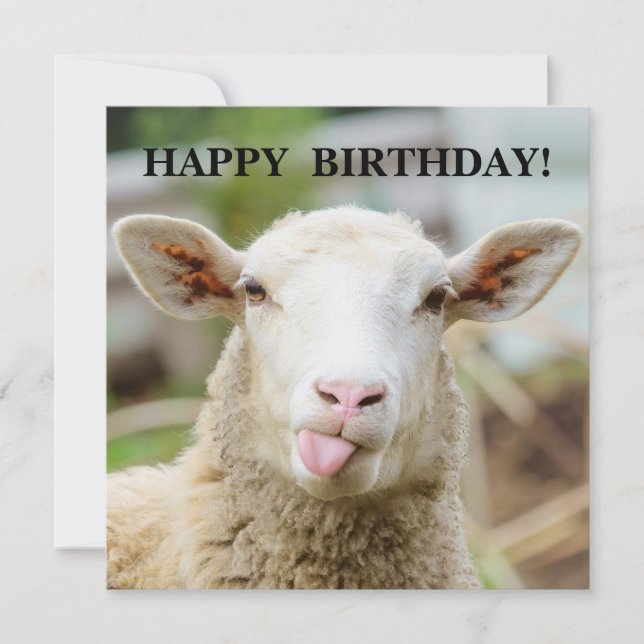 Cartes Pour Fêtes Annuelles Moutons montrent la langue (Devant)