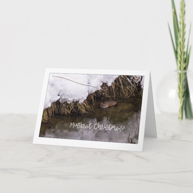 Cartes Pour Fêtes Annuelles Muskrat Christmas Quirky (Devant)