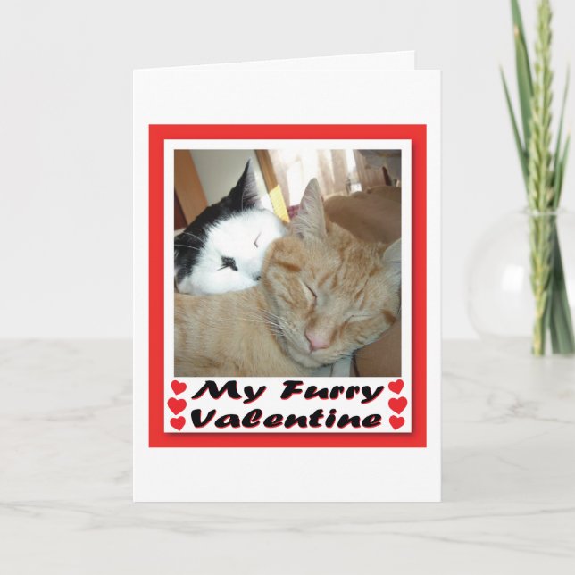 Cartes Pour Fêtes Annuelles My Furry Valentine (Devant)
