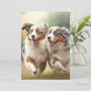 Cartes Pour Fêtes Annuelles National Australian Shepherd Day, Chien australien