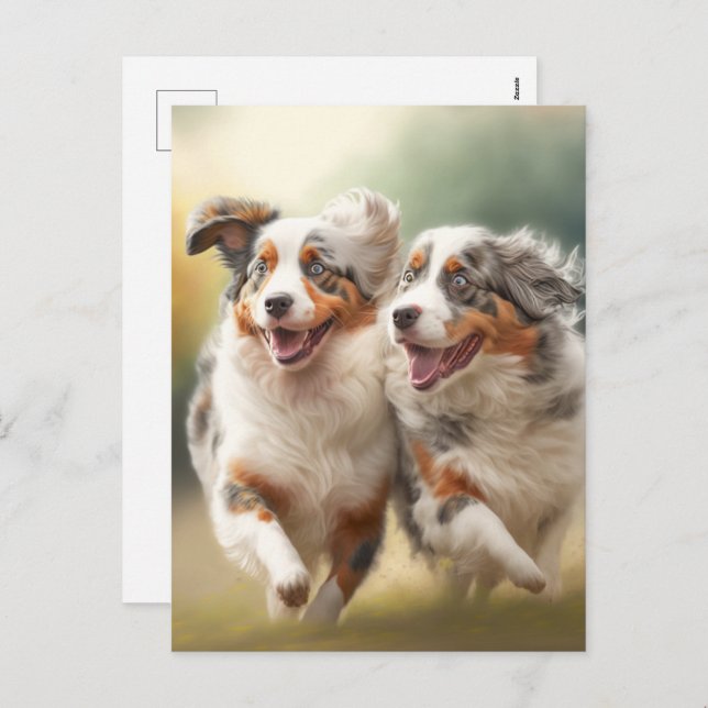 Cartes Pour Fêtes Annuelles National Australian Shepherd Day, Chiens Australie (Devant / Derrière)