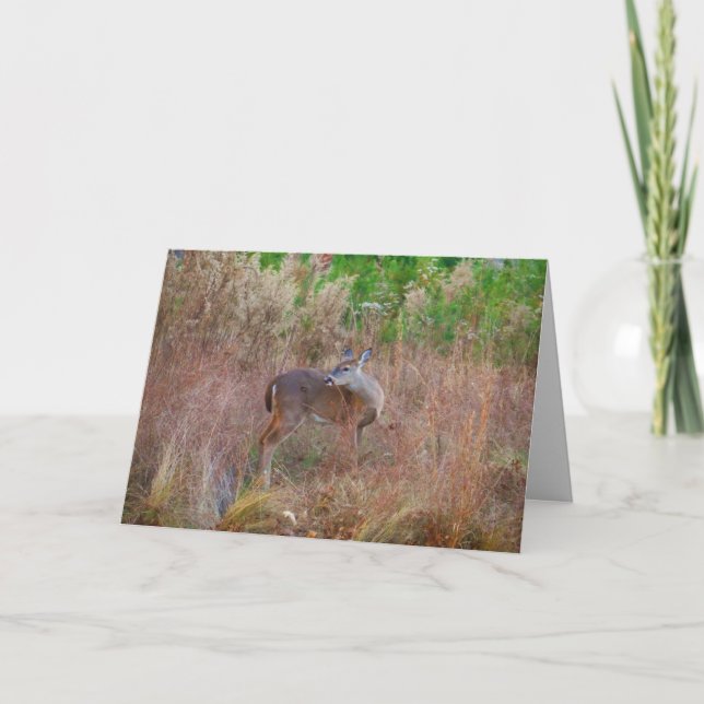 Cartes Pour Fêtes Annuelles Nature Deer Doe Faune Photo Lac Arrowhead Ga. (Devant)