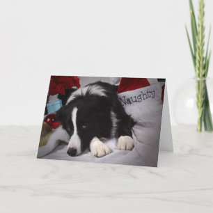 Cartes Pour Fêtes Annuelles Naughty BC Joyeux Noël