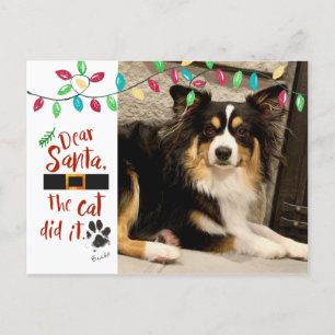 Cartes Pour Fêtes Annuelles Naughty Chien Funny Cher Père Noël Lettre Photo No