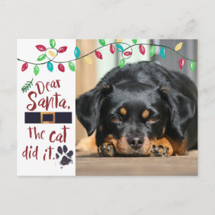 Cartes Pour Fêtes Annuelles Naughty Dog Funny Dear Santa Letter Photo