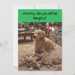 Cartes Pour Fêtes Annuelles Naughty Golden Retriever Shredever Papier Noël