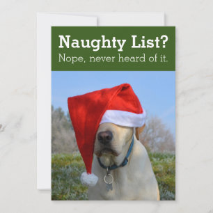 Cartes Pour Fêtes Annuelles Naughty List ? Nope n'a jamais entendu parler de c