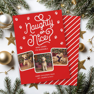 Cartes Pour Fêtes Annuelles Naughty or Nice Drôle Mignon Chien Chat 3 Photo 