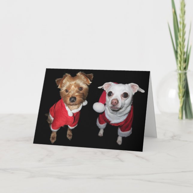 Cartes Pour Fêtes Annuelles Naughty or Nice Pups (Devant)