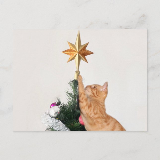 Cartes Pour Fêtes Annuelles Naughty Orange tabby Noël (Devant)