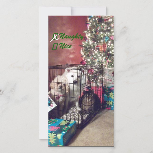 Cartes Pour Fêtes Annuelles Naughty ou Nice (Devant)