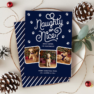 Cartes Pour Fêtes Annuelles Naughty ou Nice drôle mignonne animal de compagnie