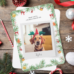 Cartes Pour Fêtes Annuelles Naughty ou Nice Funny Chien Photo Noël